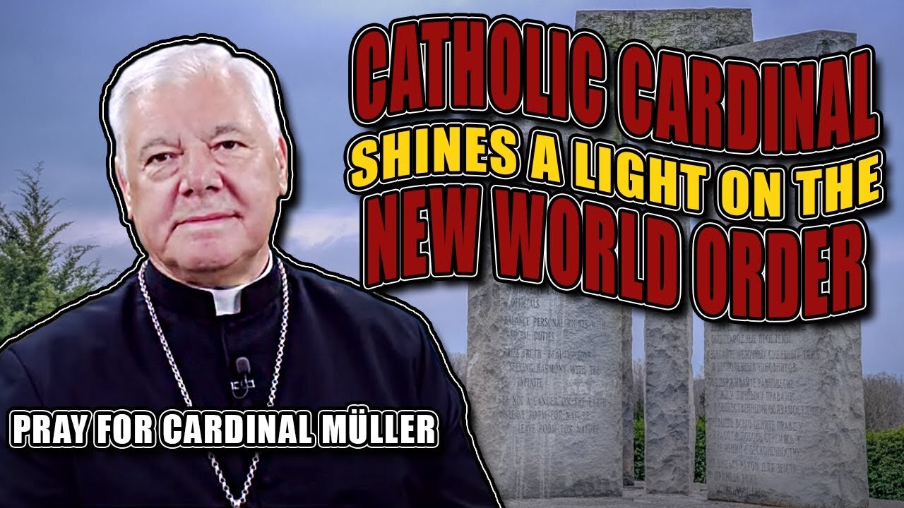 Back at it Again! Cardinal Müller calls out EVERYBODY