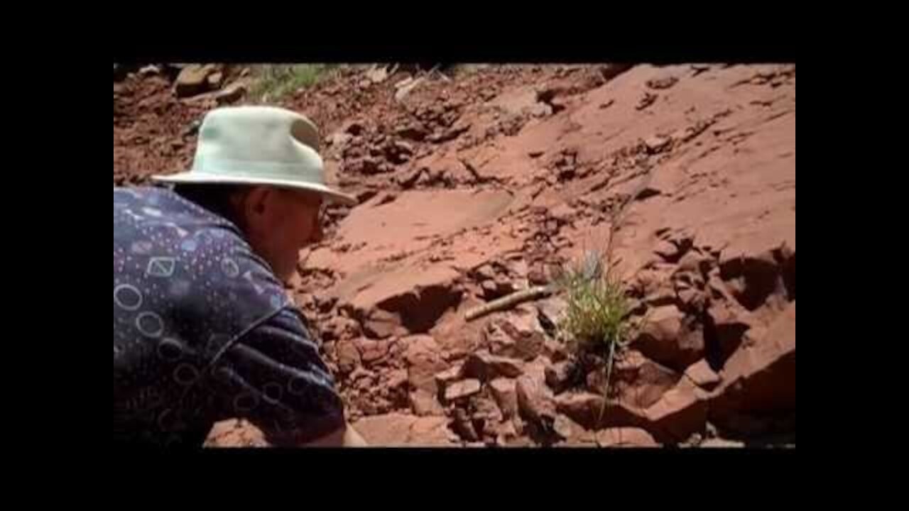 Oldest known dinosaur nesting site: U of T Mississauga/ROM