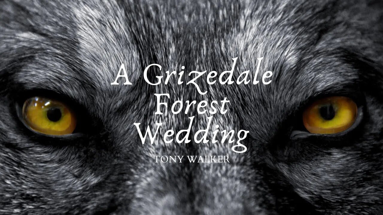The Grizedale Forest Wedding by Tony Walker