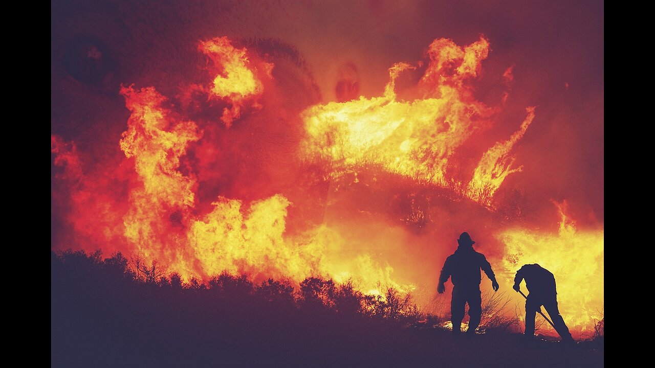 Men or Women: Who's worse for the environment?