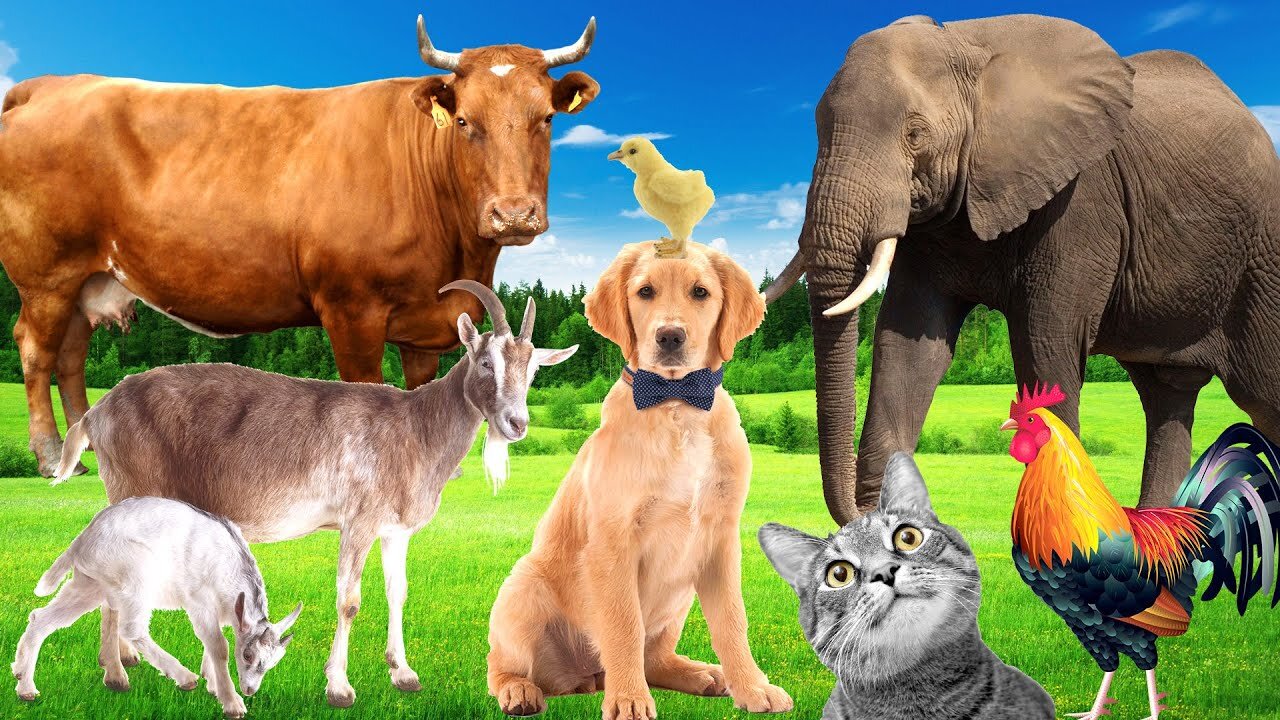 Sounds of wildlife animals, familiar animals: cats, dogs, horses, Elephants, cows,