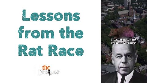 Lessons from the Rat Race