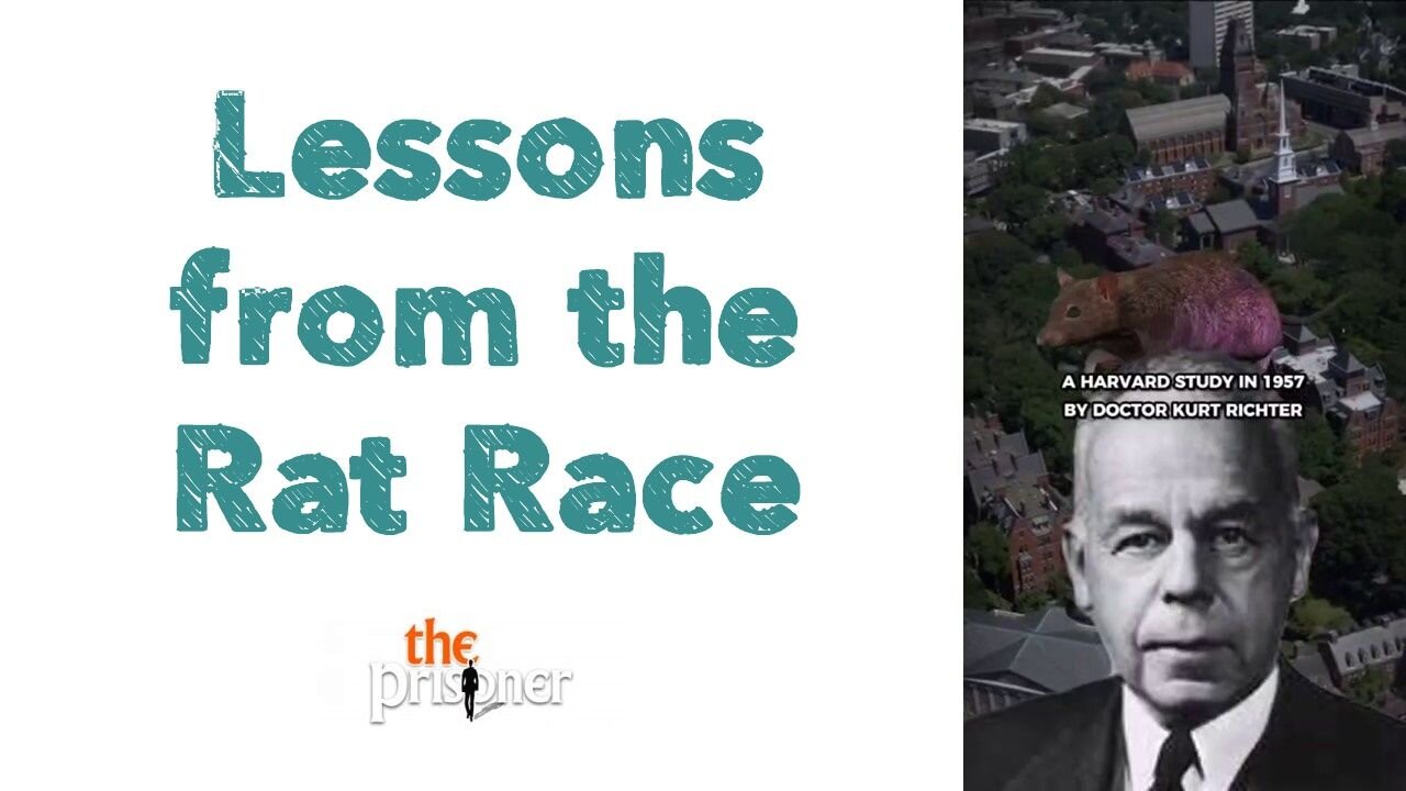 Lessons from the Rat Race