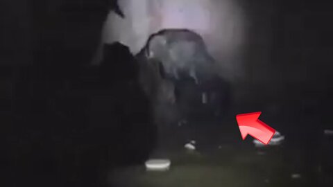 Mysterious Creature Discovered by Military! Real or Fake [Space]