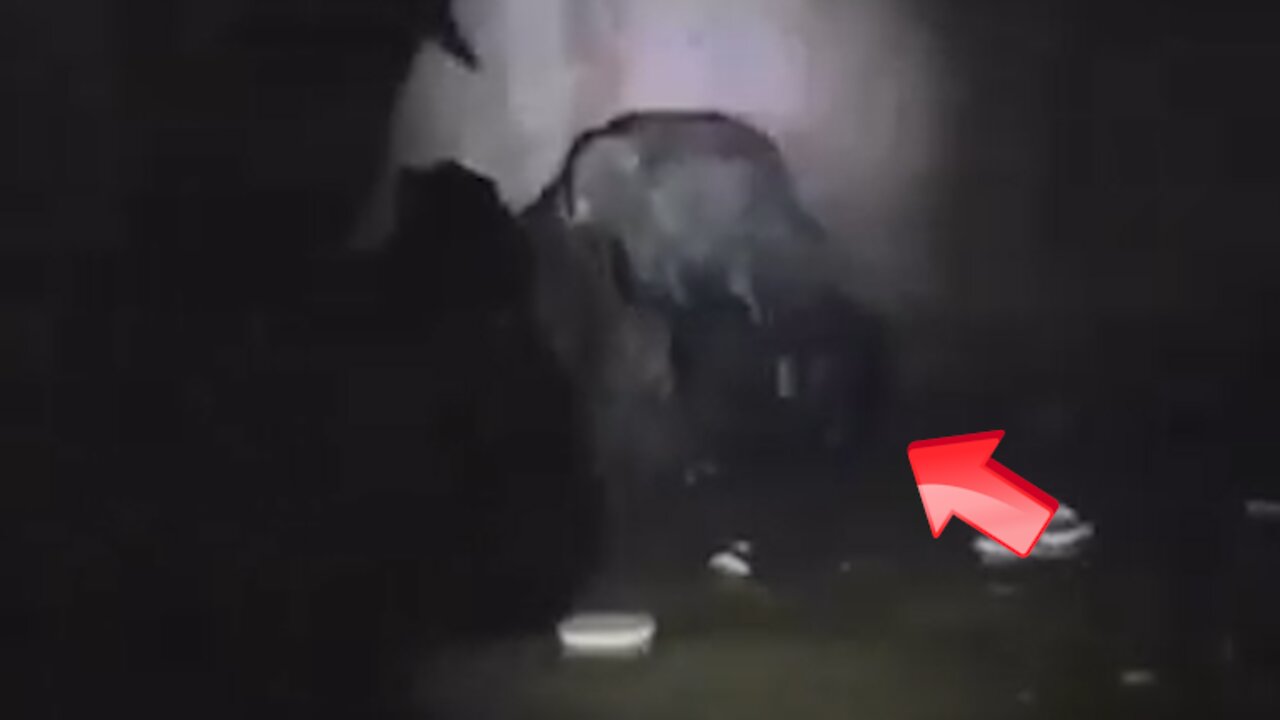 Mysterious Creature Discovered by Military! Real or Fake [Space]
