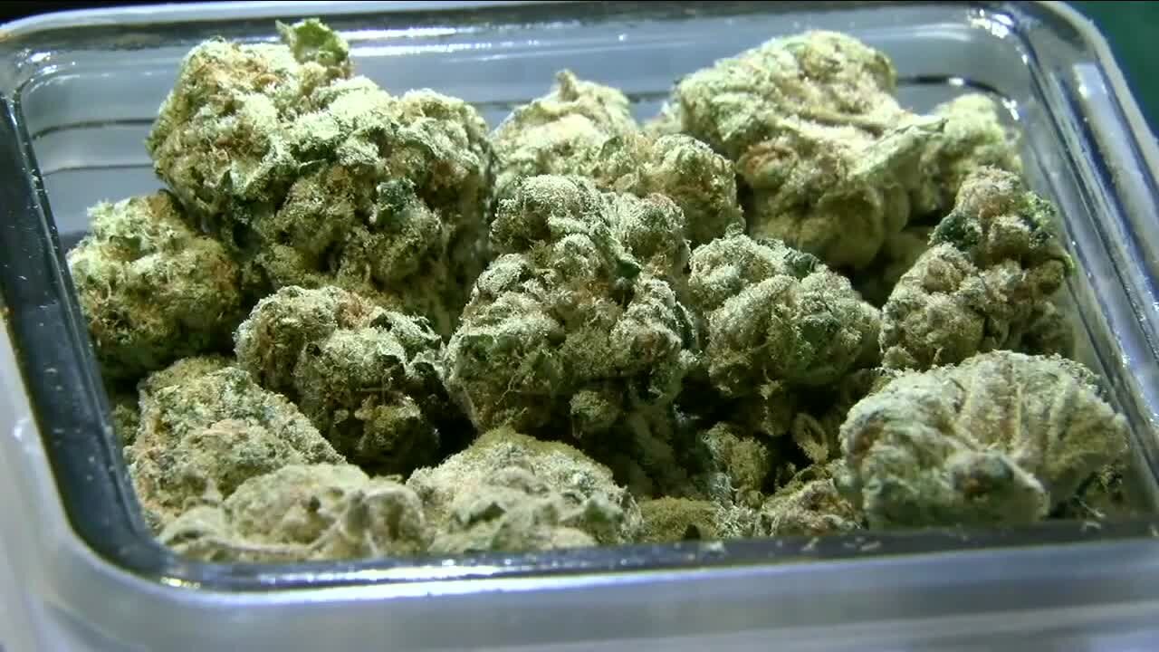 Justice with Jessica: Cannabis delivery drivers hope new bill can save businesses