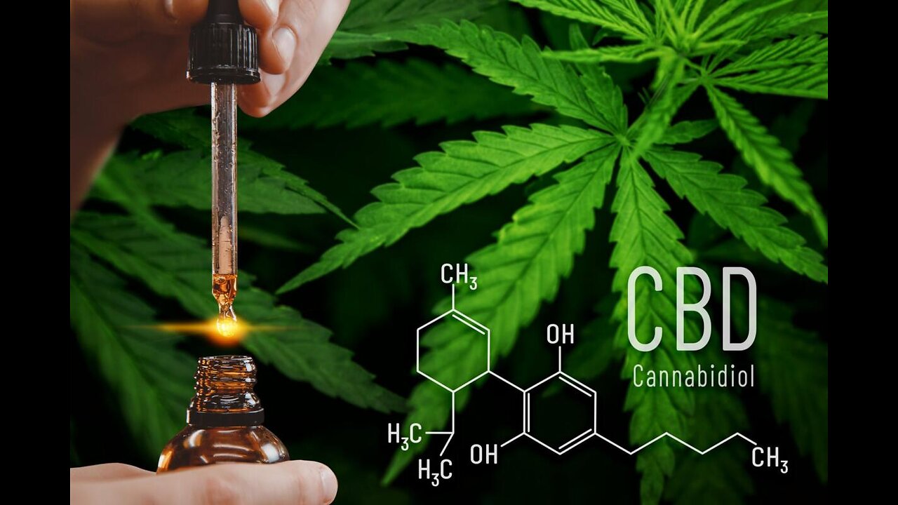 Kate Shemirani & Dee Mani-Mitchell: Creation-Based Healing With CBD & Cannabis