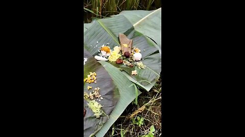 Indian culture ಭೂಮಿ ಹುಣ್ಣಿಮೆ ಹಬ್ಬ