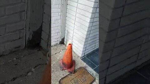 #gangstalking perp walk 07/07/2022 Pt. 2