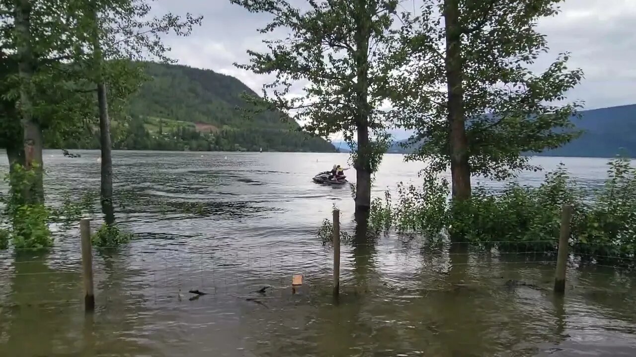 BOSS & 12/11 ON FLOOD WATCH, JUNE 22, 2022 SICAMOUS, BC