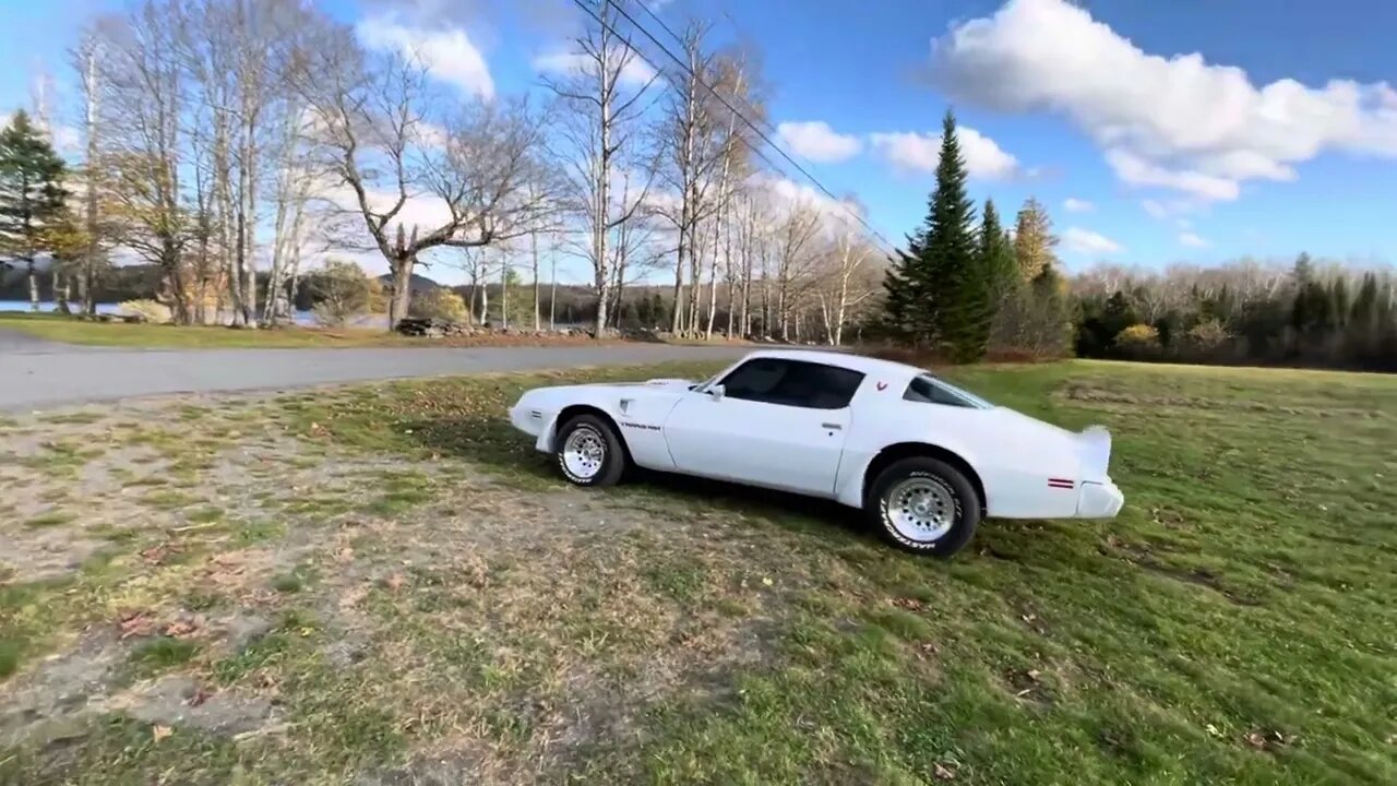 Fall firebird # trans am # Pontiac # fall # Maine