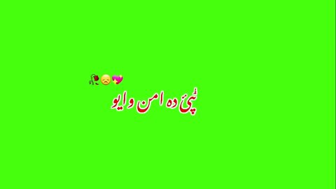 Pashto new Green screen shayari Munir Buneri #tiktokviral