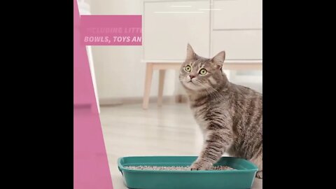 Don’t Let Pets Prevent Your Home From Selling