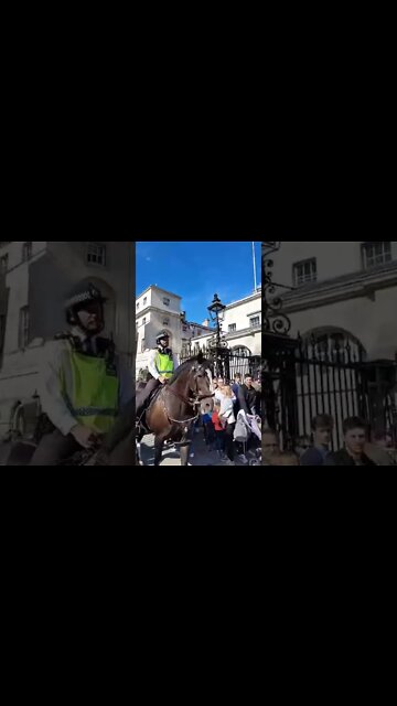 clear a path for the Horses they will run over you #horseguardsparade