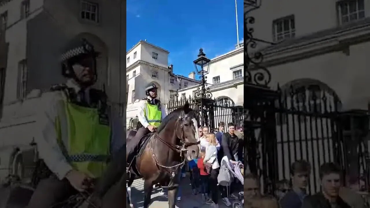 clear a path for the Horses they will run over you #horseguardsparade