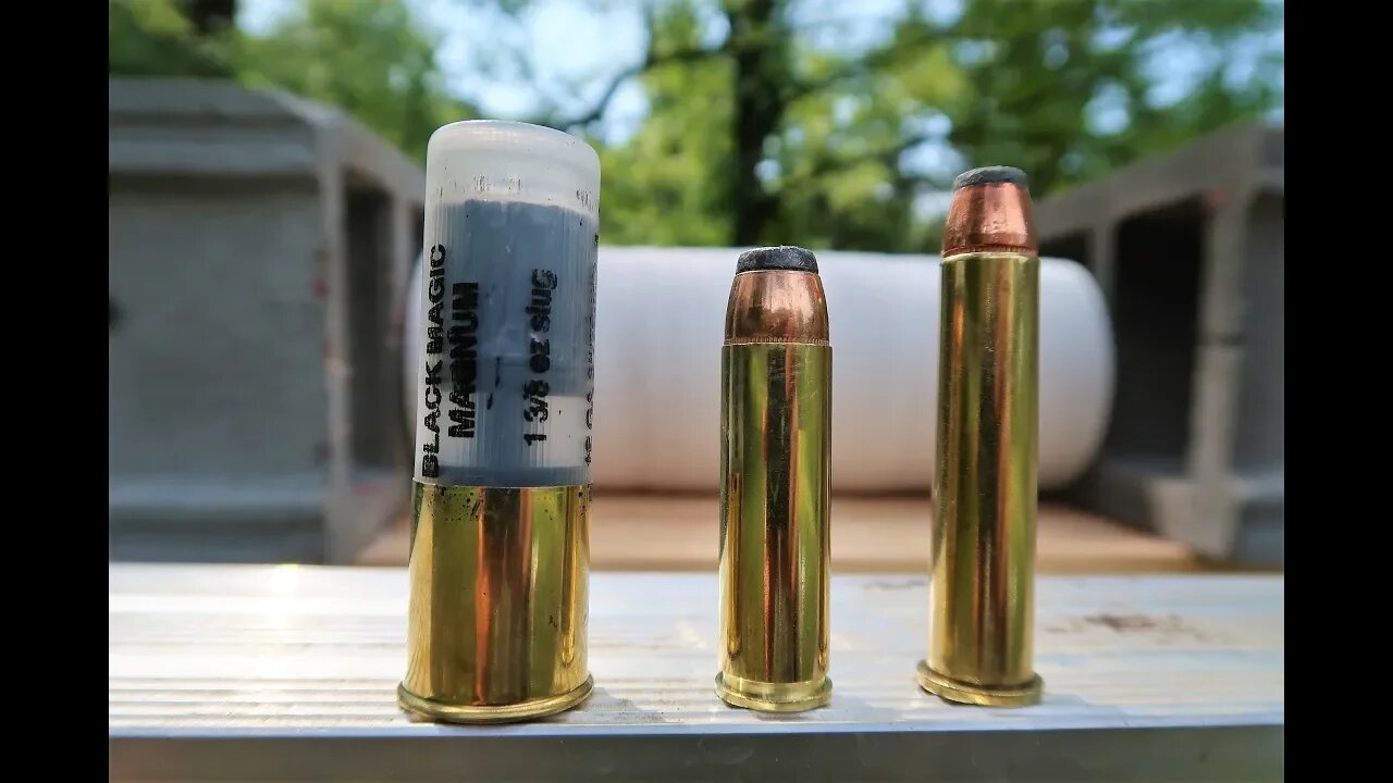 Best BEAR Rounds! - 12 gauge vs 4570 vs 500 magnum