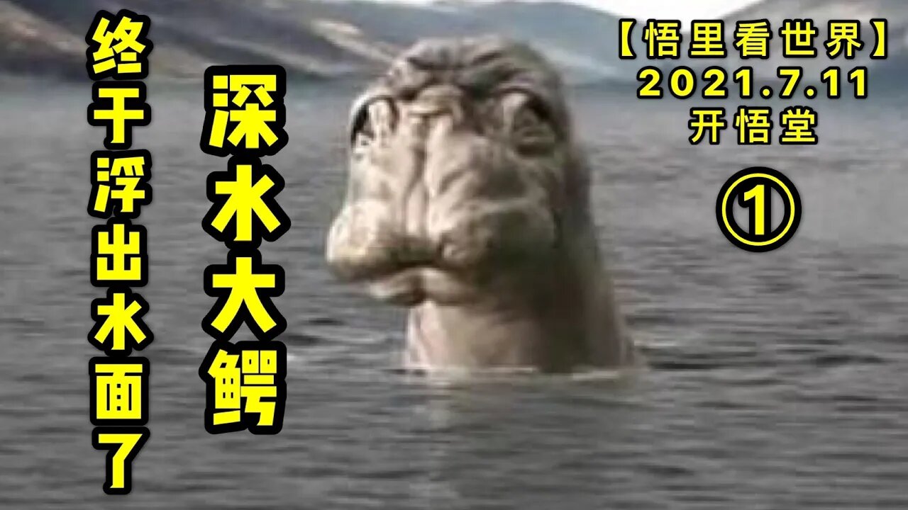 KWT2085(1)深水大鳄终于浮出水面了20210711-8【悟里看世界】