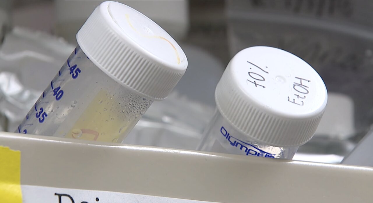 UNLV researchers tracking flu season through waste water