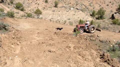 Massey 35 Grading On The Switchback Trail