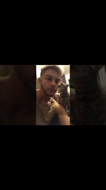 Cats are super adorable