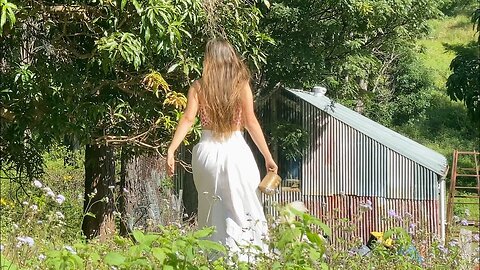 Living in an Abandoned Shed in the Rainforest: Life Off Grid 