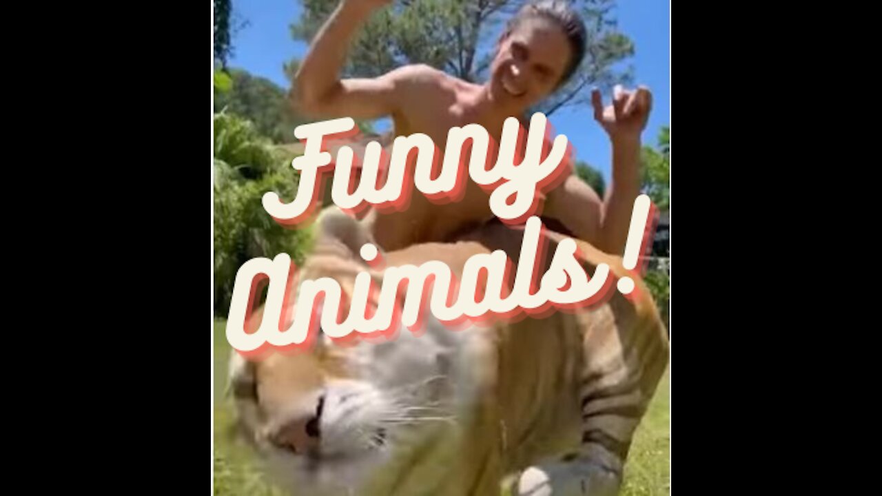 😂Compilation of the best funny and weird animal clips for 2022 😄