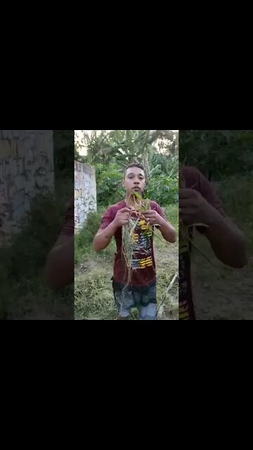 ROUBOU NA FAVELA OLHA NO QUE DEU