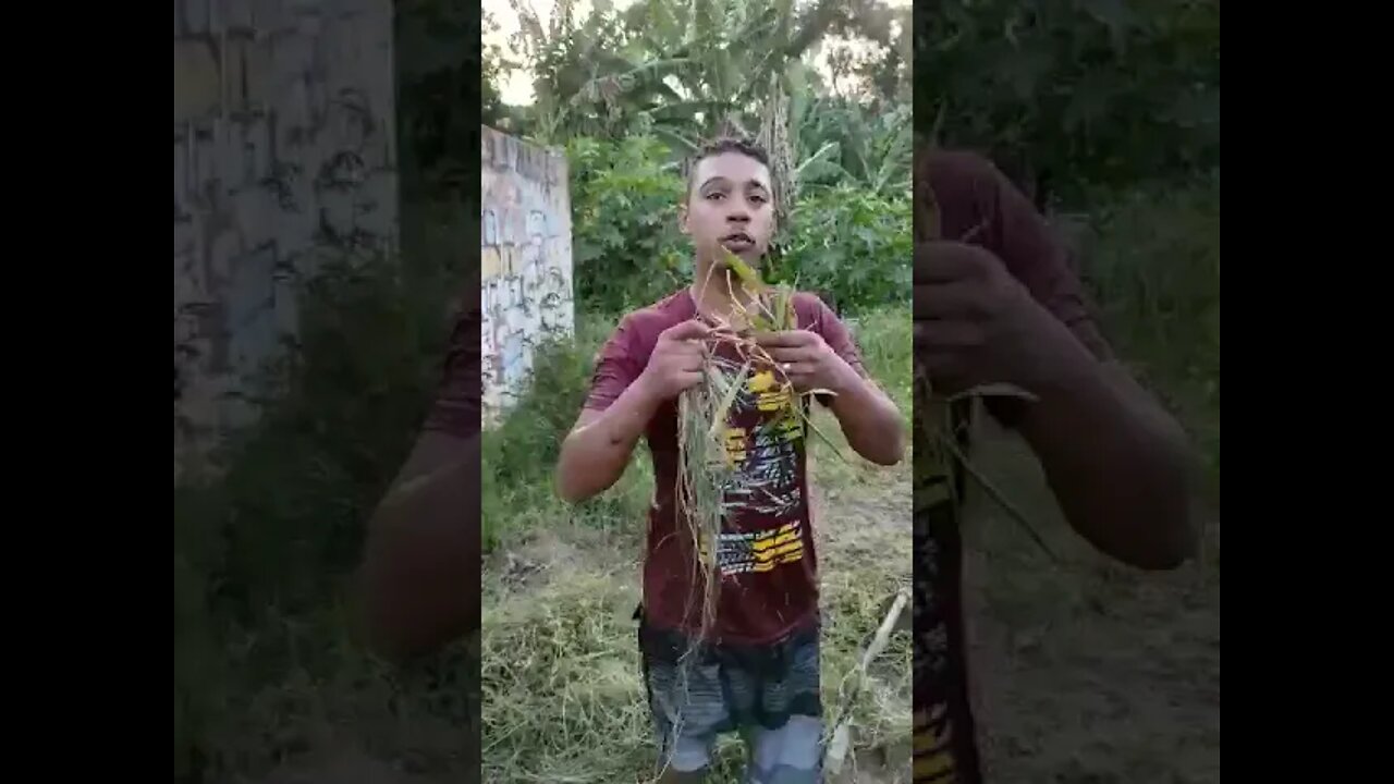 ROUBOU NA FAVELA OLHA NO QUE DEU