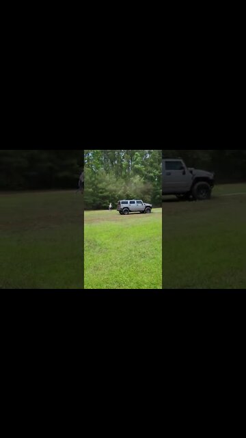 Tree falling down 4K