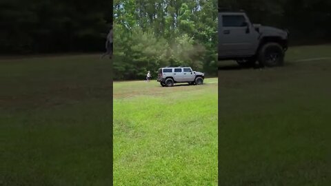 Tree falling down 4K