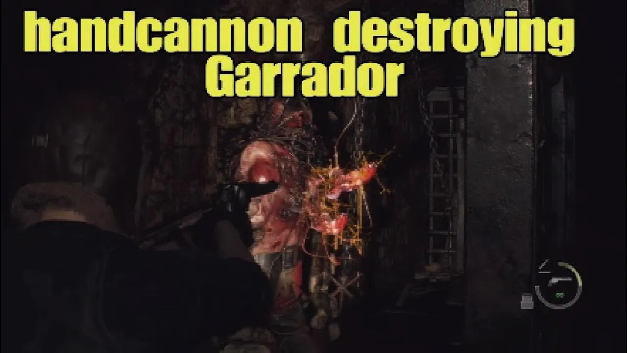 Handcannon destroying Garrador professional mode