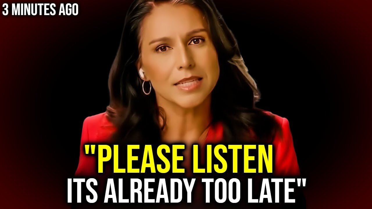 Tulsi Gabbard: "I'm EXPOSING What They Are Planning Next.." ENOUGH!!! - Dec 2024.