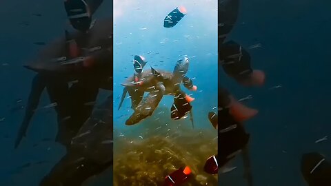 UNDERWATER WONDS - 4K ULTRA HD - Relaxing Piano Music With Nature Sounds #relaxing #music #nature