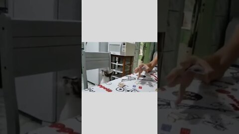 Stop kidding me.Where's the card..🐈🐾🃏🤣🤣