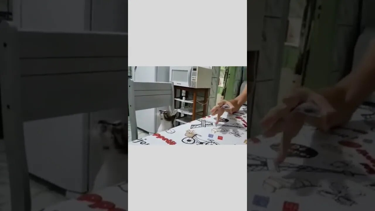 Stop kidding me.Where's the card..🐈🐾🃏🤣🤣