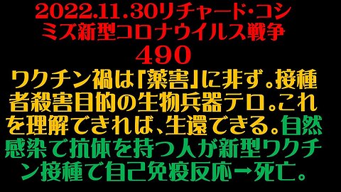 2022.11.30 リチャード・コシミズ新型コロナウイルス戦争４９０