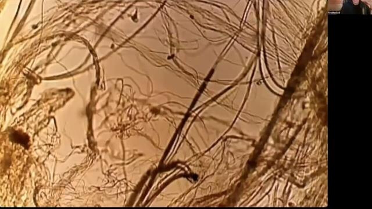 Spiderwebs from the Sky analyzed and guess what!?! - RichieFromBoston