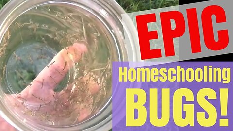 Homeschool with Insects