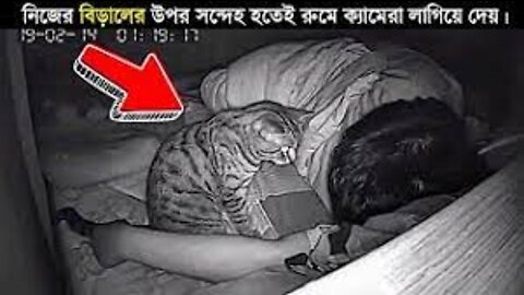 নিজের বিড়ালের উপর সন্দেহ হতেই রুমে ক্যামেরা লাগিয়ে দেয় আর তারপর যা দেখা গেল...