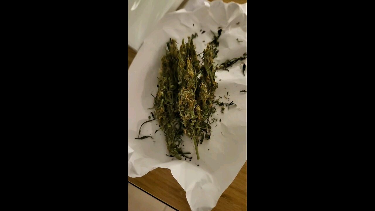 I GOT SCAMMED IN TURKEY.. THEY SOLD ME BUSH WEED TRASH 😂😷