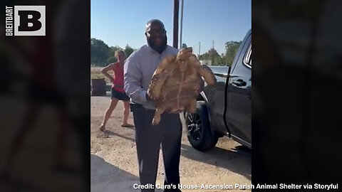 TURTLE TIME: Escaped 100-Year-Old Tortoise Reunited with Owners