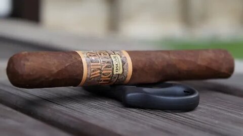 Team Review Recap: Oscar Valladares Wild Hunter Maduro