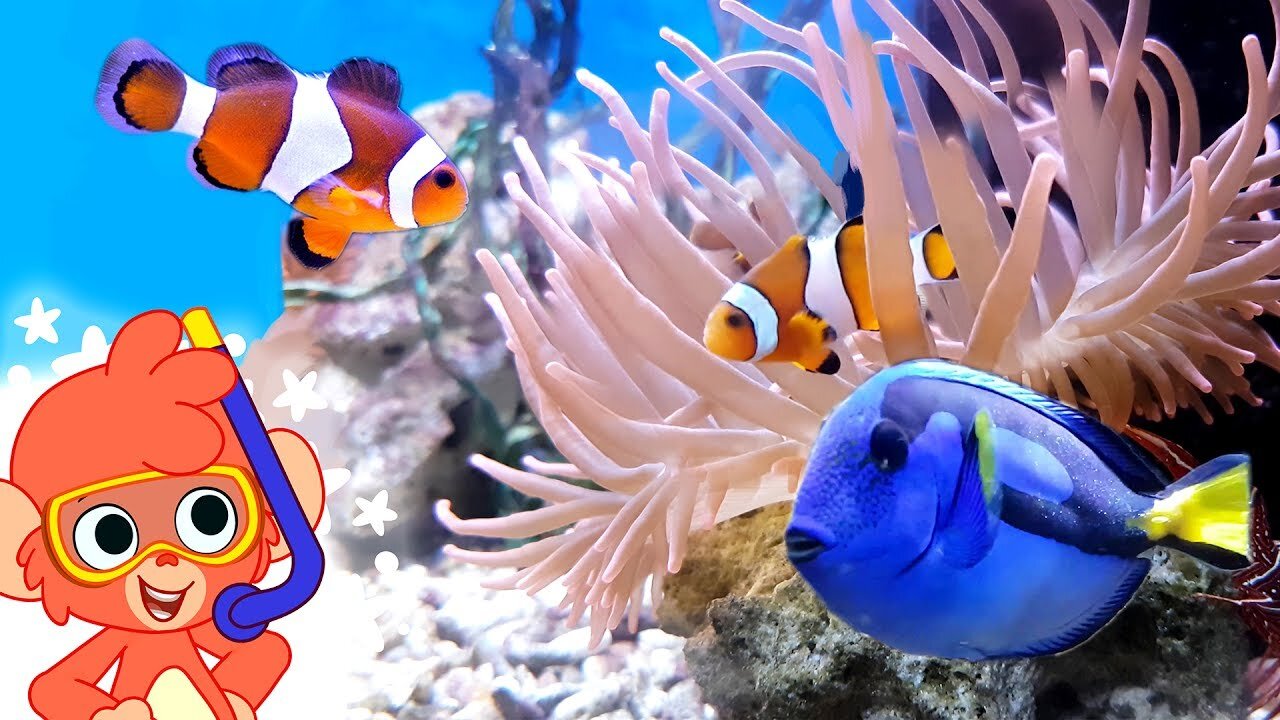 Sea Animals Collection for kids...….. Animals Names and Videos