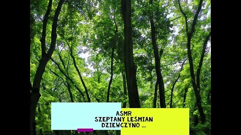 asmr Szeptany Leśmian- dziewczyno ...