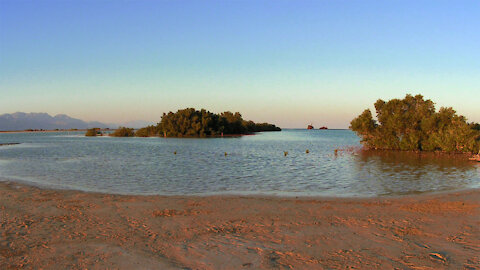 Nabq Protected Area