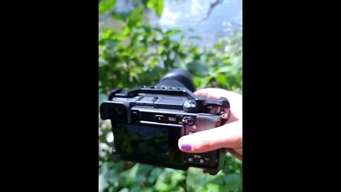 Observing nature by the river with a camera. #camera #nature #river #fish