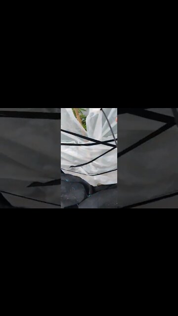 outdoor 2020 test garden