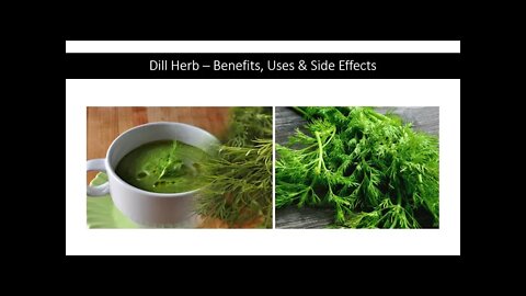 Dill Herb - Benefits, Uses & Side Effects