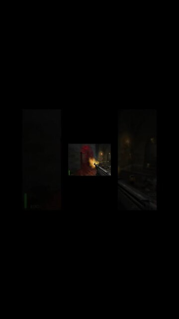 What Is Going On In Here? Return To Castle Wolfenstein #shorts #returntocastlewolfenstein #gaming