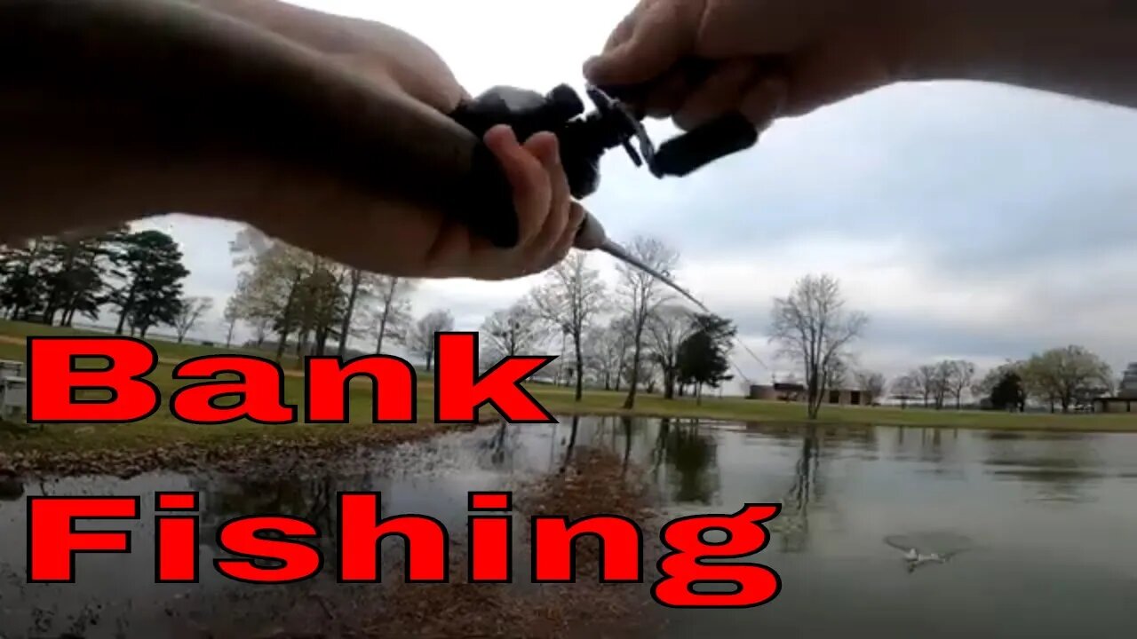 A Little Bank Fishing